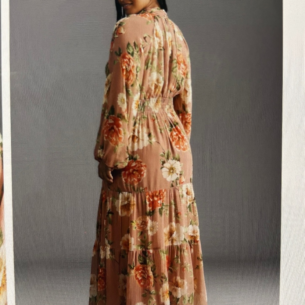 Anthropologie Somerset Long-Sleeve Mock-Neck Chiffon Maxi Dress - Picture 6 of 6